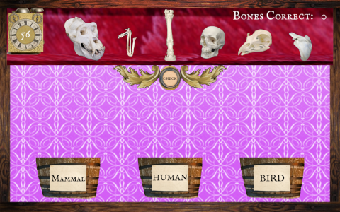 Still from a video game. A variety of bones sit on a shelf on a bright purple background, below are half wooden barrels labeled, Mammal, Human, and Bird, there is a timer in the top left.